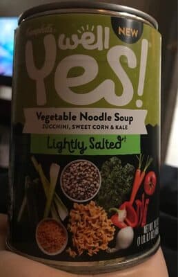 Well yes! lightly salted vegetable noodle soup