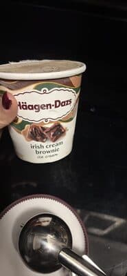 irish cream brownie ice cream