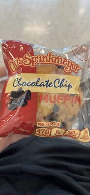 Chocolate Chip Muffin