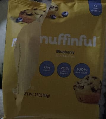 Blueberry Mini Muffins